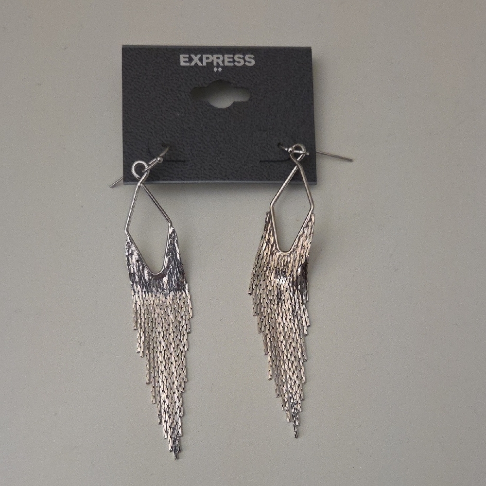 Express Shimmering Silver Fringe Earrings